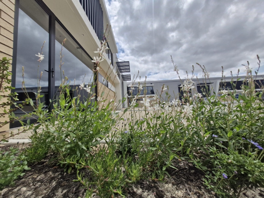 To Let Commercial Property for Rent in Stikland Industrial Western Cape